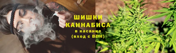 альфа пвп Заволжск