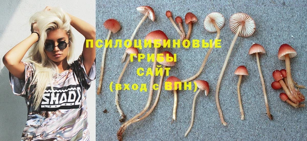альфа пвп Заволжск