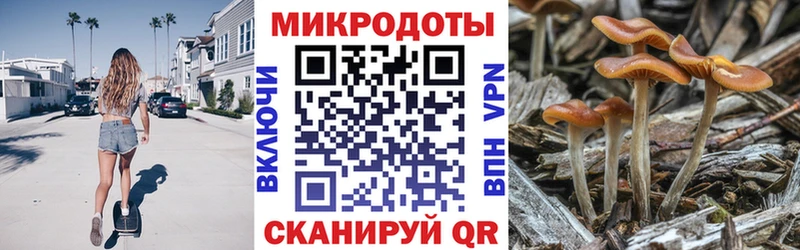 где купить наркотик  blacksprut маркетплейс  Галлюциногенные грибы MAGIC MUSHROOMS  Соль-Илецк 