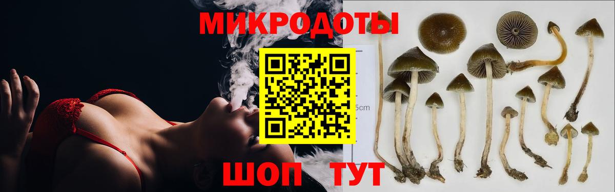 Псилоцибиновые грибы GOLDEN TEACHER  Вход с VPN  Соль-Илецк 